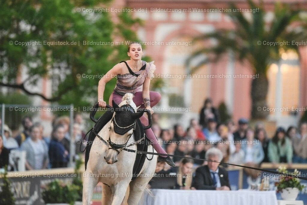 20230527_Voltigieren_NASPA_Flutlicht_0331 | equistock