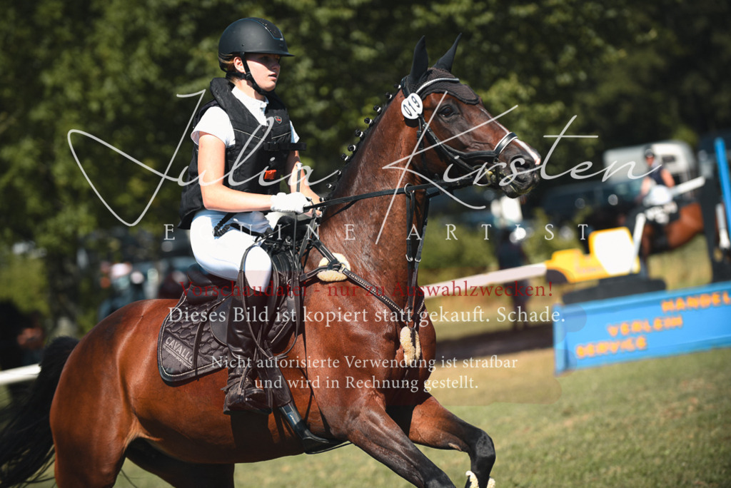 DSC_7212 | Pferde- und Turnierfotografie in Westsachsen. Pferdeportraits, Auftragszeichnungen und intuitive Kunst.