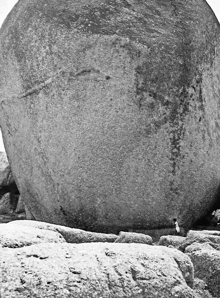 ZA_BouldersBeach_06616sw | Beegebilder online. 
BIldarchiv von Beege Fotodesign mit ausgewählten Werken, die sich besonders gut für die Dekoration Ihrer Räume oder Wände eignen. 