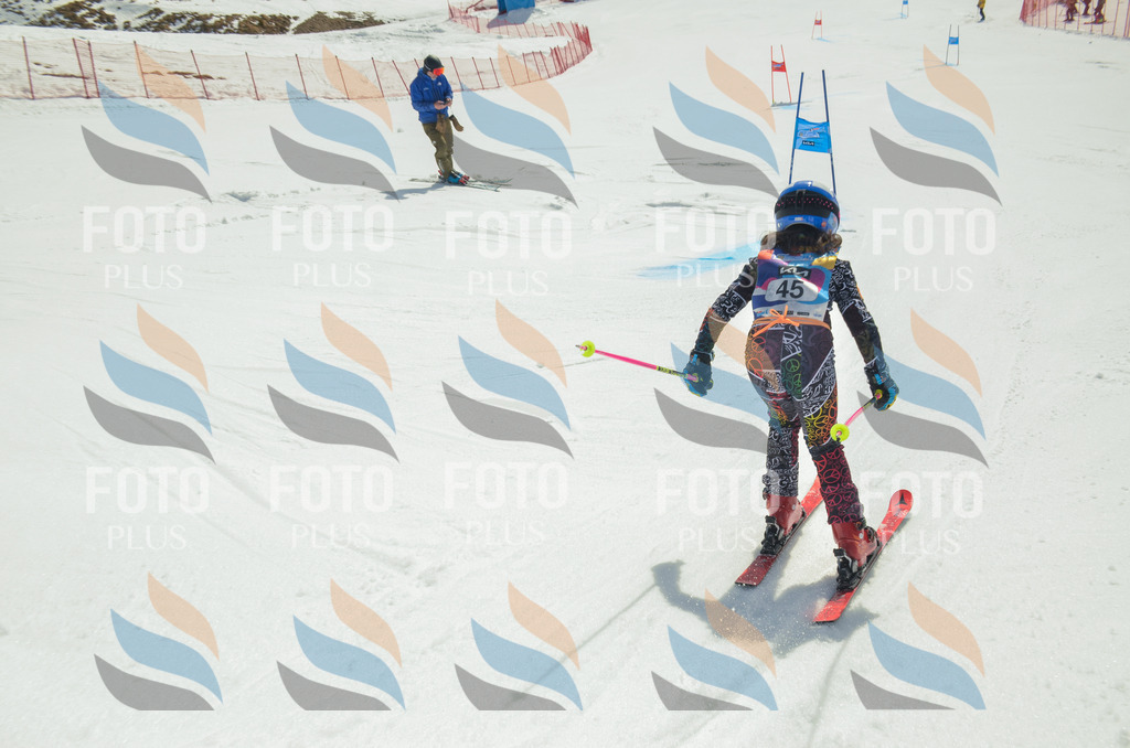 _ELE5116 | holidayphoto