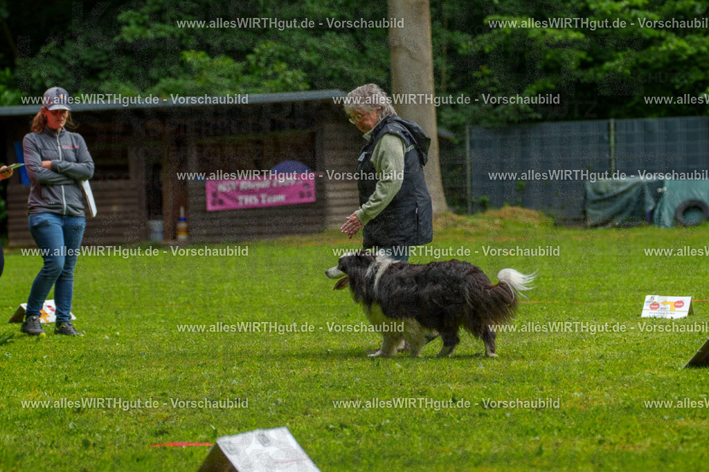 @allesWIRTHgut_Tierfotografie - www.allesWIRTHgut.de - 7R502681 | Professionelle Tierfotografie in Mönchengladbach von Daniel Wirth (allesWIRTHgut). Liebevolle & natürliche Bilder von Hunden & Katzen für unvergessliche Erinnerungen.