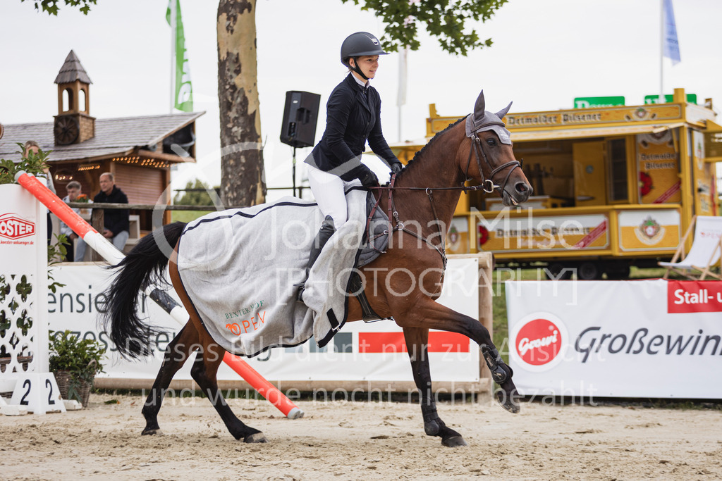 250710_BHO_Stil-A1-1-179 | Deine schönsten Turniermomente als professionelle Fotos! Entdecke hochwertige Pferdesport-Fotografie im Online-Shop. Jetzt Fotos finden & bestellen!