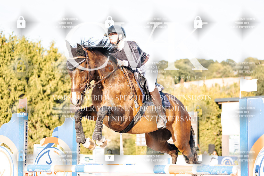 CK903533 | Turnierfotografie Pferdefotografie Trier Rheinland-Pfalz Pferdesport Reitsport Tierfotografie Sportfotografie Pferdevideo Pferdevideografie Equestrianvideography equestrianphotography  - Realisiert mit Pictrs.com