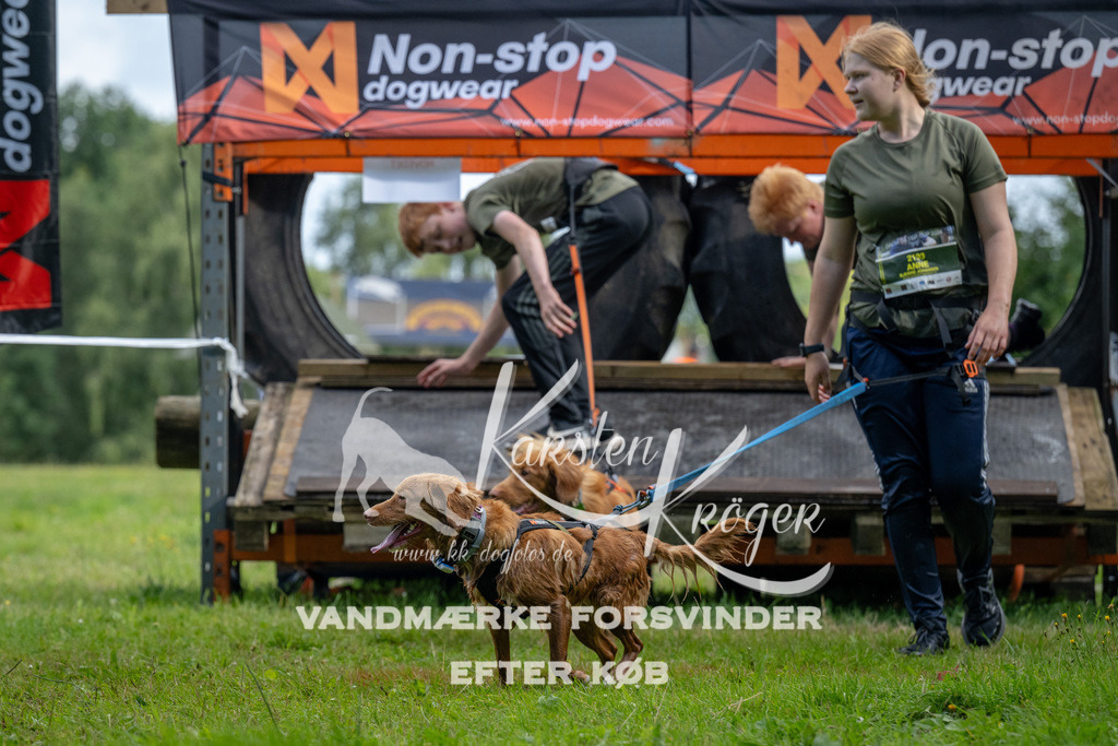 0930_ZZ90807 | kk-dogfotos