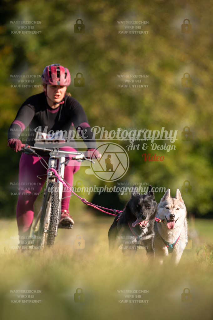 CDLBDB_15_10_2023_Dimanche-381 | mompixphotography