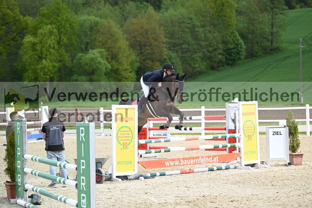 DSC_0769 | equestrian-live-com
