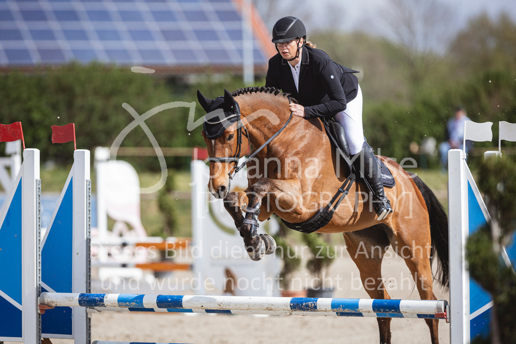 250419_Frühlingsfest_A-Stil1-448 | Deine schönsten Turniermomente als professionelle Fotos! Entdecke hochwertige Pferdesport-Fotografie im Online-Shop. Jetzt Fotos finden & bestellen!