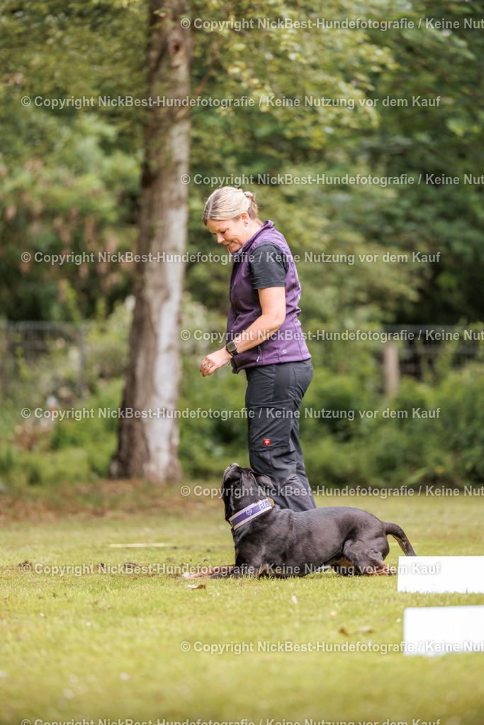 RO-Blumenthal-2026-Nickbest-Hundefotografie-1678 | Dein Hund! Dein Moment! Deine Erinnerungen! Hundefotografie in Bremen Blumenthal. Ich fange die besonderen Momente deines Vierbeiners ein – ob Indoor mit Blitzanlage oder in der freien Natur. Sicher dir dein Moment und dein Termin für eure Erinnerungen.