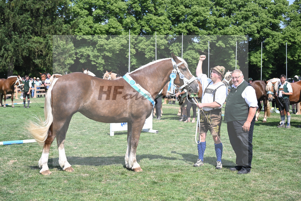 Kat-Nr. 55 Esmiralda_Gilg_20231222 | hf-fotografie - Realisiert mit Pictrs.com