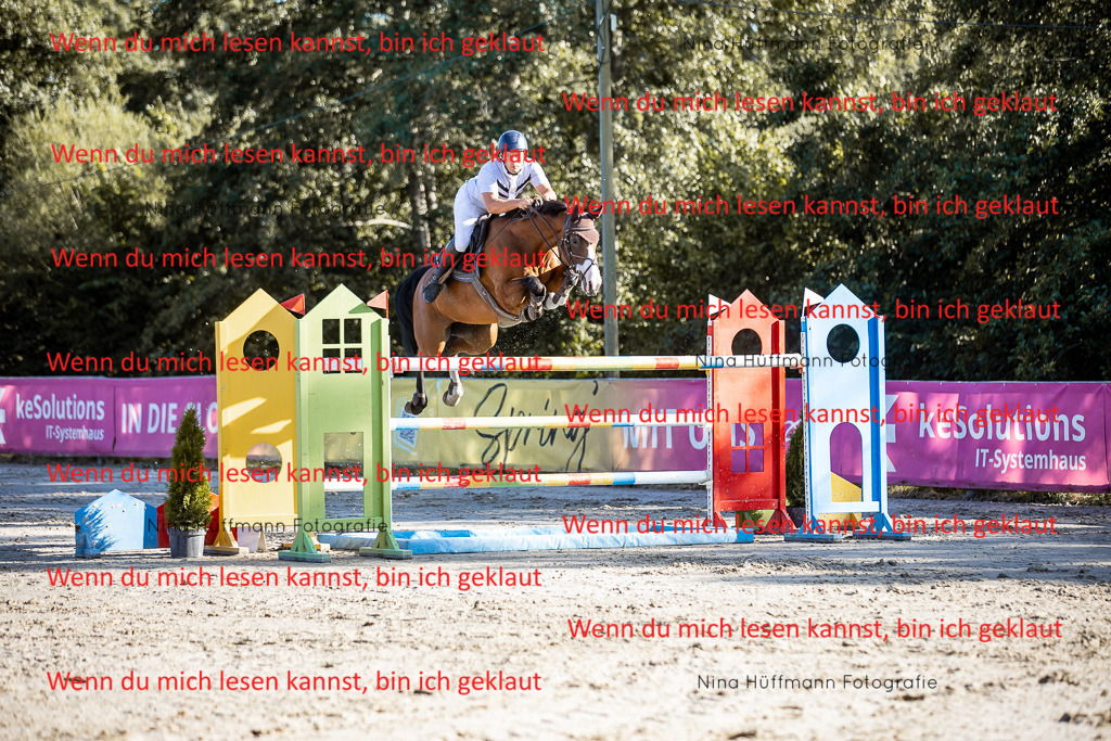 BK1A8656 | Turnierbilder Turnierfotos Nina Hüffmann Turnierfotografie Pferdefotografie Tierzeichnung Haustierzeichnung Pferdezeichnung Hundezeichnung Videograf  - Realisiert mit Pictrs.com