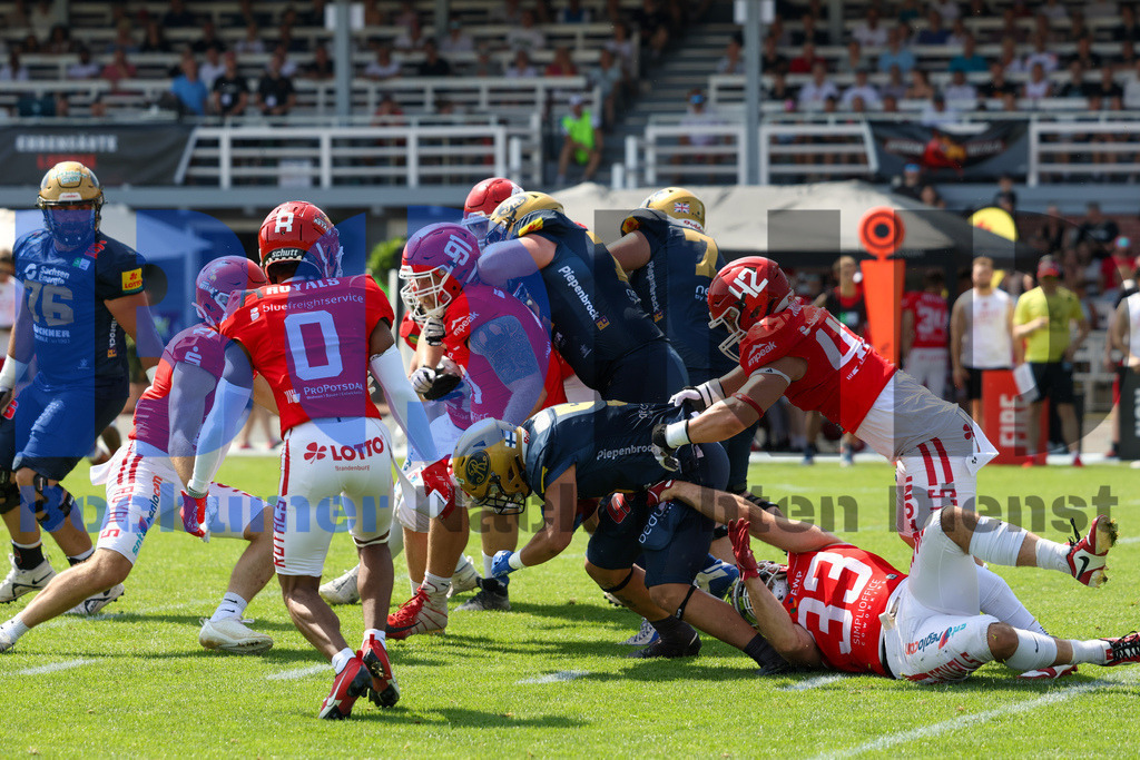 GFL: Potsdam Royals vs. Dresden Monarchs{date} -  | {headline}(Foto: Thomas Sobotzki / BOND) - Realisiert mit Pictrs.com