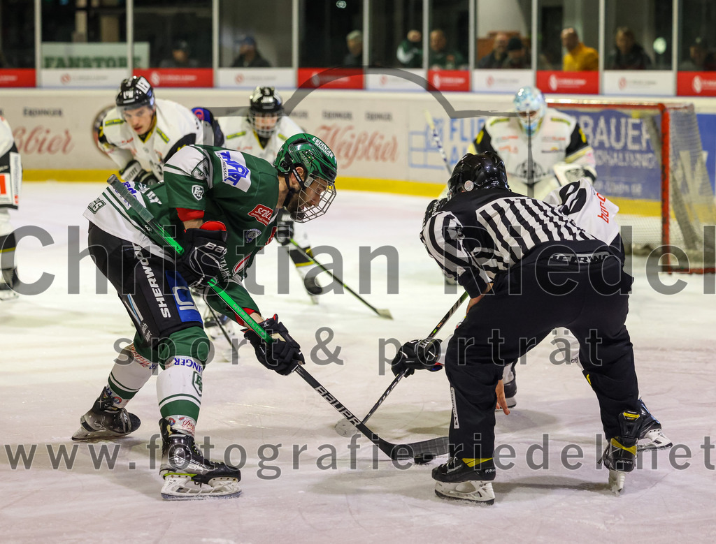 2023-11-17_104_TSV_Erding_gegen_EA_Schongau | Erding, Deutschland, 17.11.2023:
Eishockey, Bayernliga Vorrunde 2023 / 2024, 10. Spieltag, TSV Erding gegen EA Schongau, Endergebnis: 12:4

Florian Zimmermann (Erding Gladiators, #5)

Foto: Christian Riedel / fotografie-riedel.net
