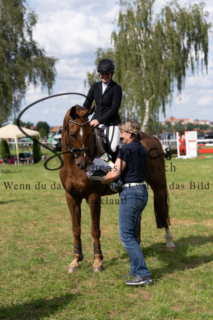 A7V04785 | Pferdefotograf