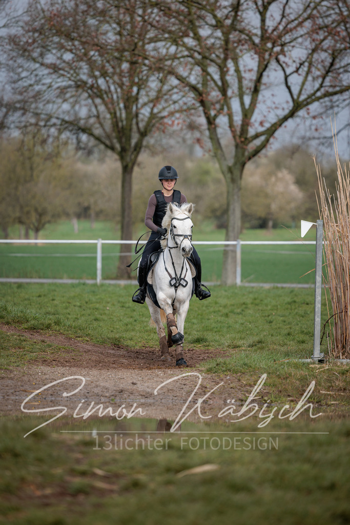 20260329-_3LI3694 | Tierfotografie Pferde, Hunde, Katzen, Haustiere.
Turnierfotografie Reitturniere, Reiten, Springreiten, Dressur in Hanau, dem Main-Kinzig-Kreis und dem Rhein-Main- Gebiet um Frankfurt