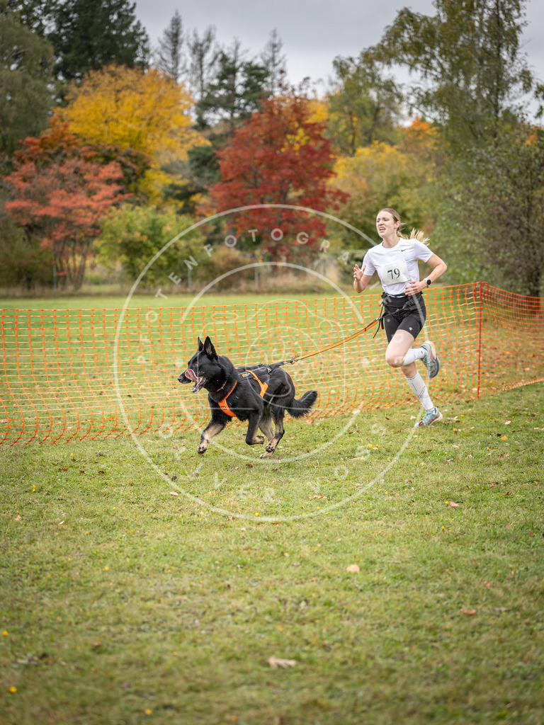 Pfotenfotografie_DV3A3003 | Hundefotografie, Tierfotograf, Pfotenfotografie, Fotoshooting Hund, Hunde Portrait, Hundesport, Hundeportraits, Heideshooting, Hunde, Sportfotograf, Hundefotograf, Turnierhundsport, THS,  - Realisiert mit Pictrs.com