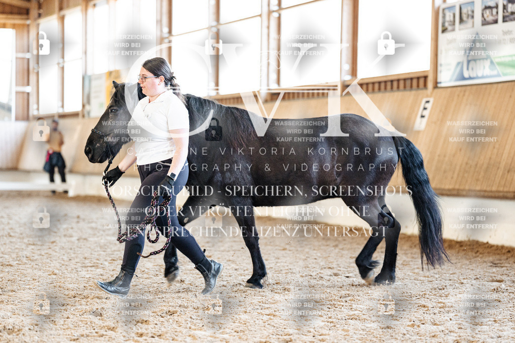 CK906523 | Turnierfotografie Pferdefotografie Trier Rheinland-Pfalz Pferdesport Reitsport Tierfotografie Sportfotografie Pferdevideo Pferdevideografie Equestrianvideography equestrianphotography  - Realisiert mit Pictrs.com