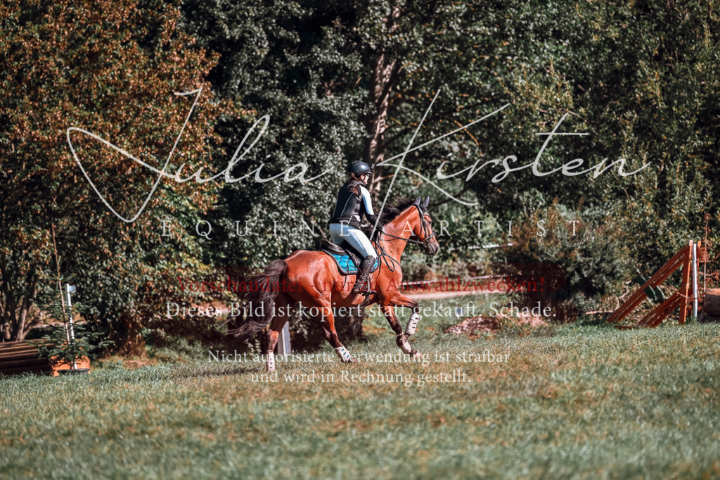 DSC_0734 | Pferde- und Turnierfotografie in Westsachsen. Pferdeportraits, Auftragszeichnungen und intuitive Kunst.