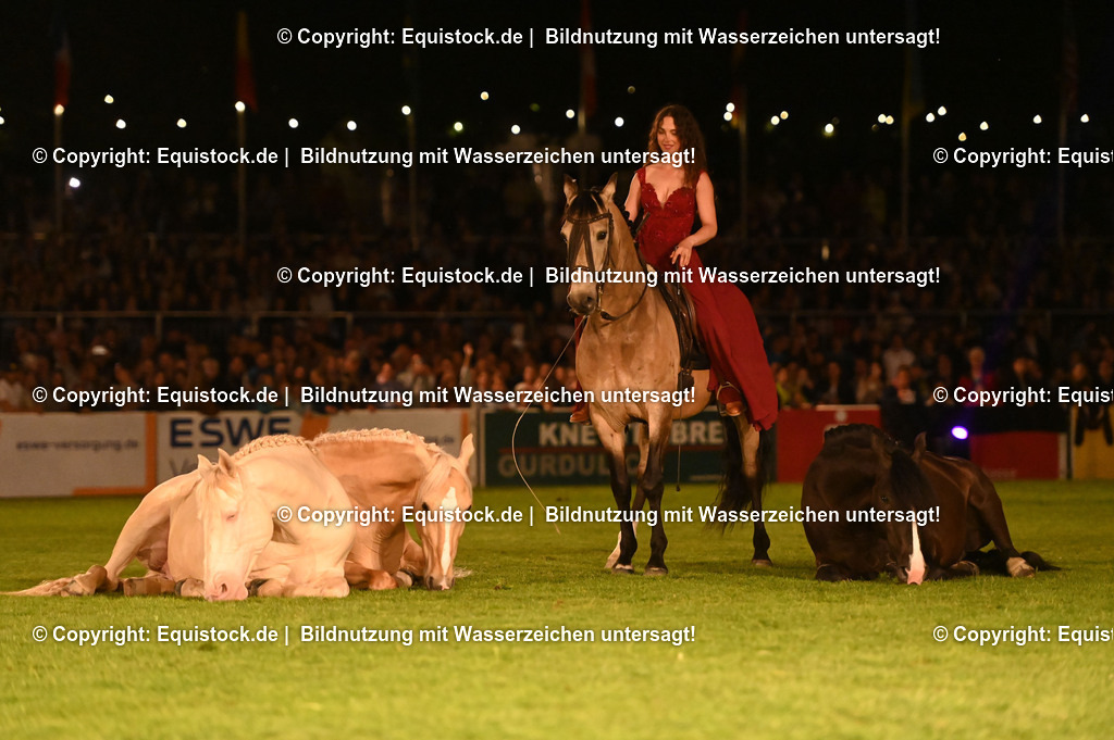 20230526_Pferdenacht_1541 | equistock