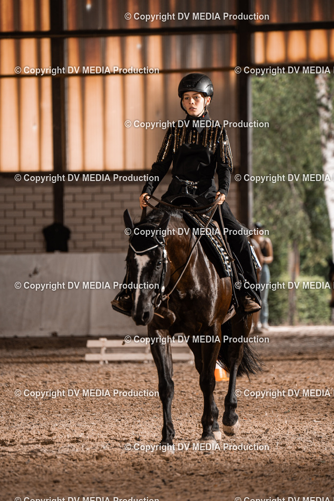 ZH200369 | dv-media-shop - Realisiert mit Pictrs.com