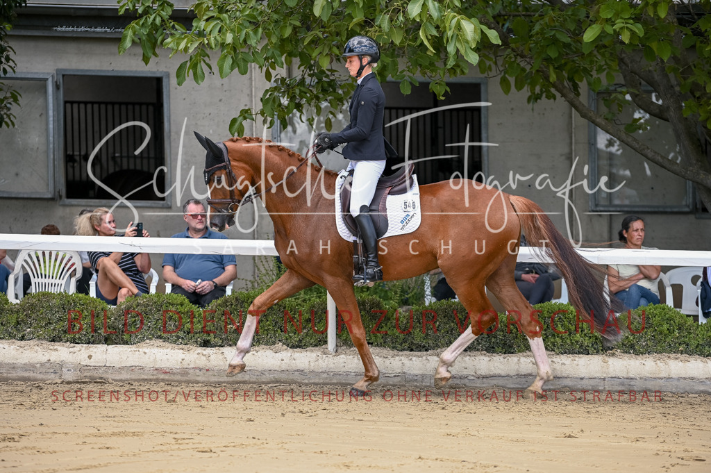 Schugtsche-Aluta25-48.Reitpferfdeprf.-132 | Schugtsche Fotografie - Realisiert mit Pictrs.com