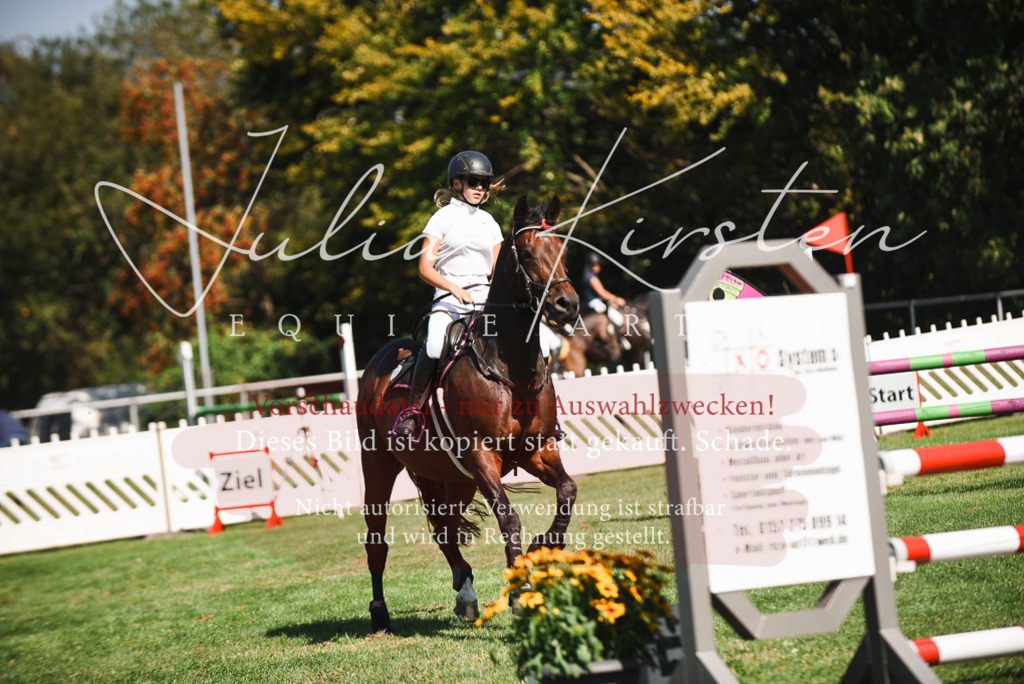 DSC_2725 | Pferde- und Turnierfotografie in Westsachsen. Pferdeportraits, Auftragszeichnungen und intuitive Kunst.