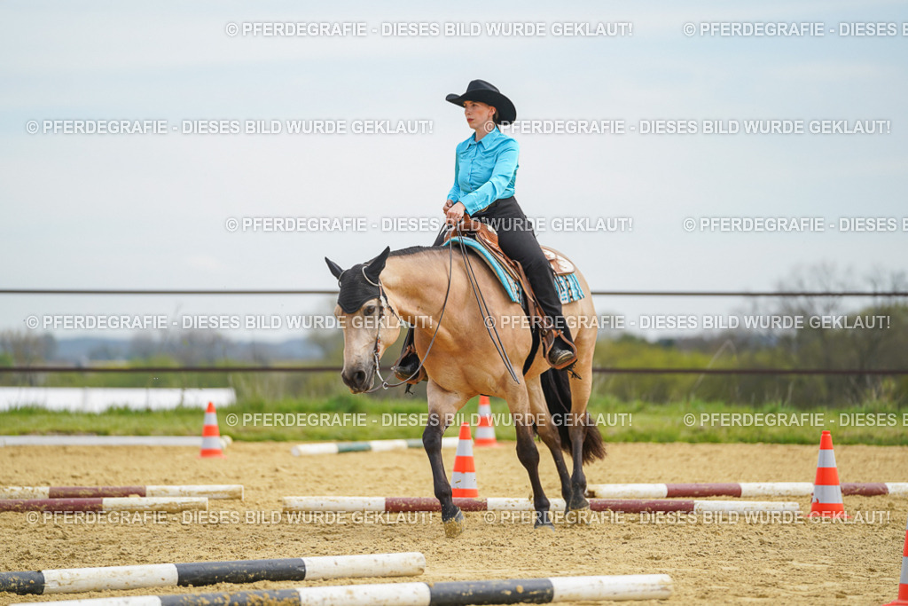 DSC03426 | Pferdegrafie