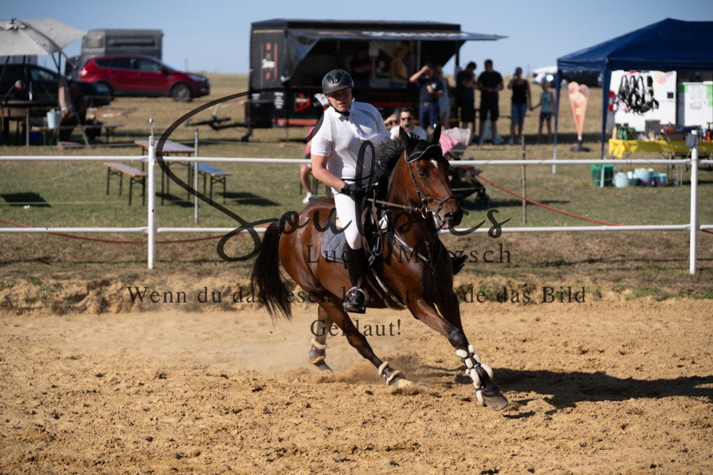 A7V02599 | Pferdefotograf