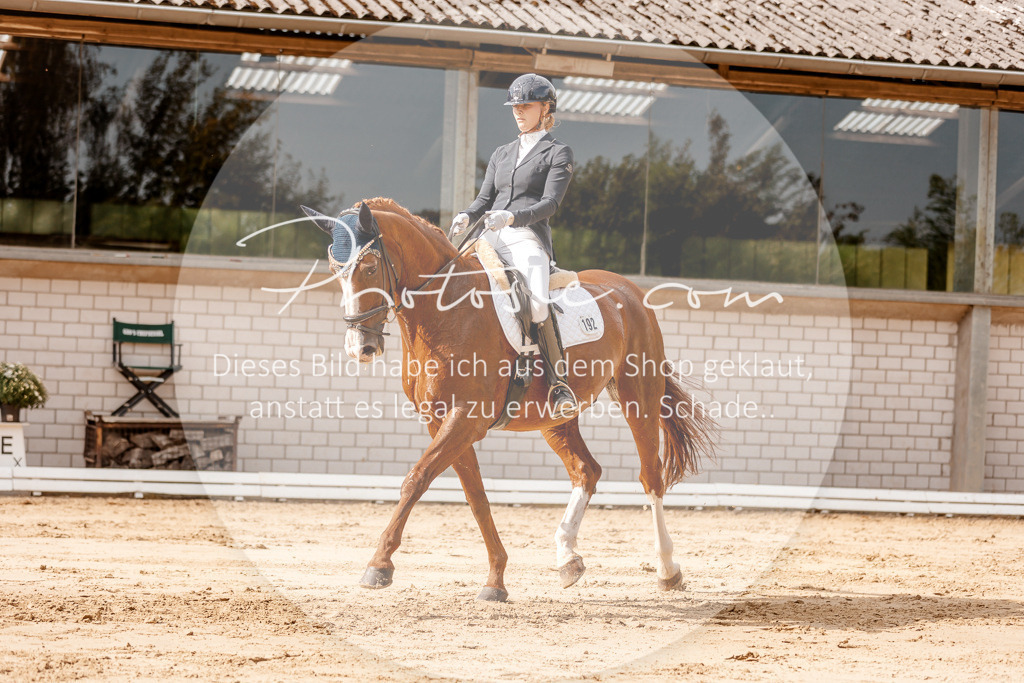 3I6A3514 | Stimmungsvolle Portraits und Reitsportfotografie im Ruhrgebiet und im Münsterland.

Pferdefotografie, Hundefotografie, Tierfotografie, Reportagen, Portraits von Tier und Mensch, Turnierfotografie in Bochum, Recklinghausen, Marl, Haltern am See, Dülmen.. - Realisiert mit Pictrs.com