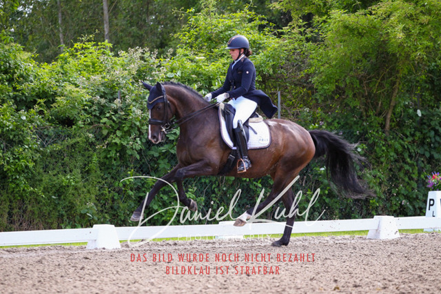 DKP41370 | Deine Turnierfotos vom Reitturnier online kaufen: Dressur, Springen & Siegerehrung. Professionelle Pferdefotografie aus dem Rheinland – als Download & Print.Alternative: Turnierfotograf für den Pferdesport: Finde deine Fotos von Dressur- und Springturnier