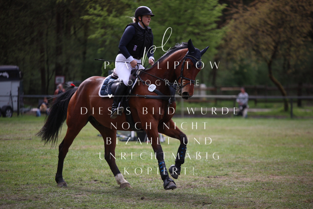 IMGT1897 | pl-fotografie