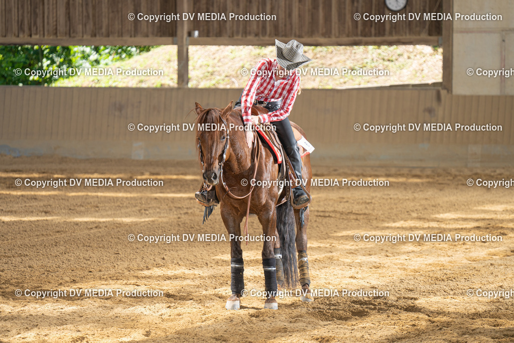 DSC00086 | dv-media-shop - Realisiert mit Pictrs.com