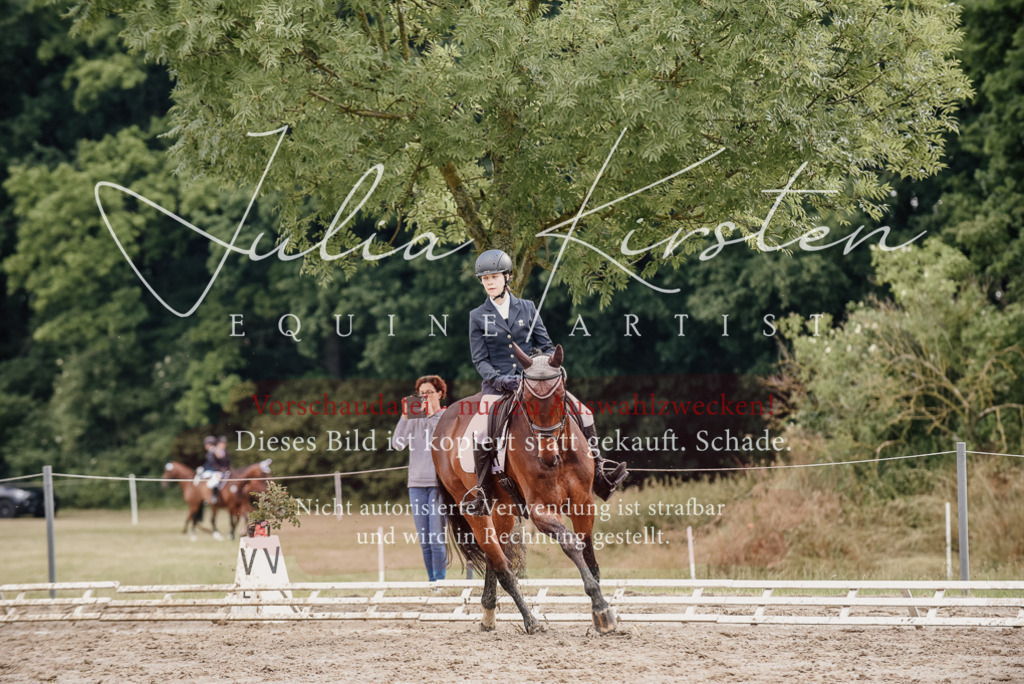 DSC_8648 | Pferde- und Turnierfotografie in Westsachsen. Pferdeportraits, Auftragszeichnungen und intuitive Kunst.