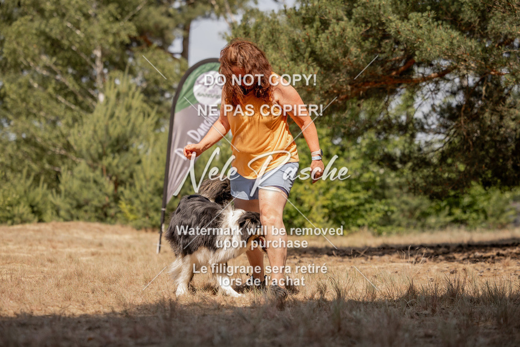 nelerasche_soDD2_465 | nelerasche