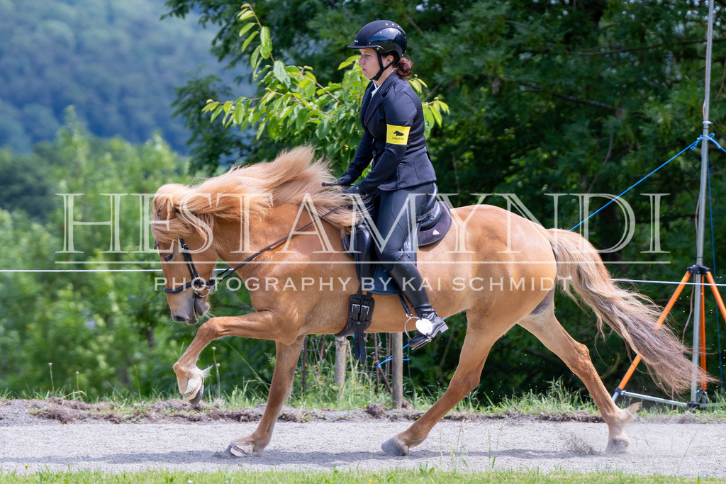 KAI02434 | Ihr sucht einen Fotografen für eure nächste OSI? Ich begleite auch euer Turnier für Islandpferde fotografisch.  - Realisiert mit Pictrs.com