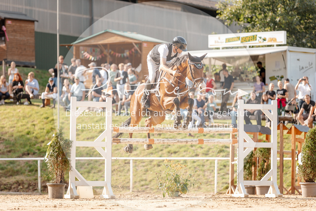3I6A4915 | Stimmungsvolle Portraits und Reitsportfotografie im Ruhrgebiet und im Münsterland.

Pferdefotografie, Hundefotografie, Tierfotografie, Reportagen, Portraits von Tier und Mensch, Turnierfotografie in Bochum, Recklinghausen, Marl, Haltern am See, Dülmen.. - Realisiert mit Pictrs.com