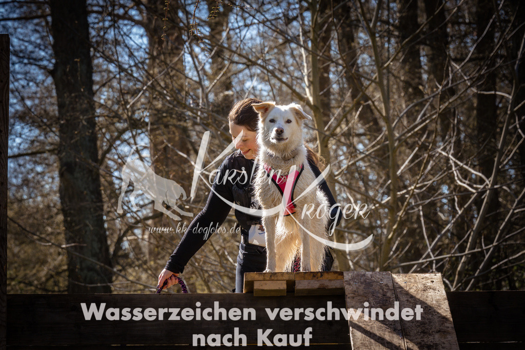 0927_ZZ95722 | kk-dogfotos