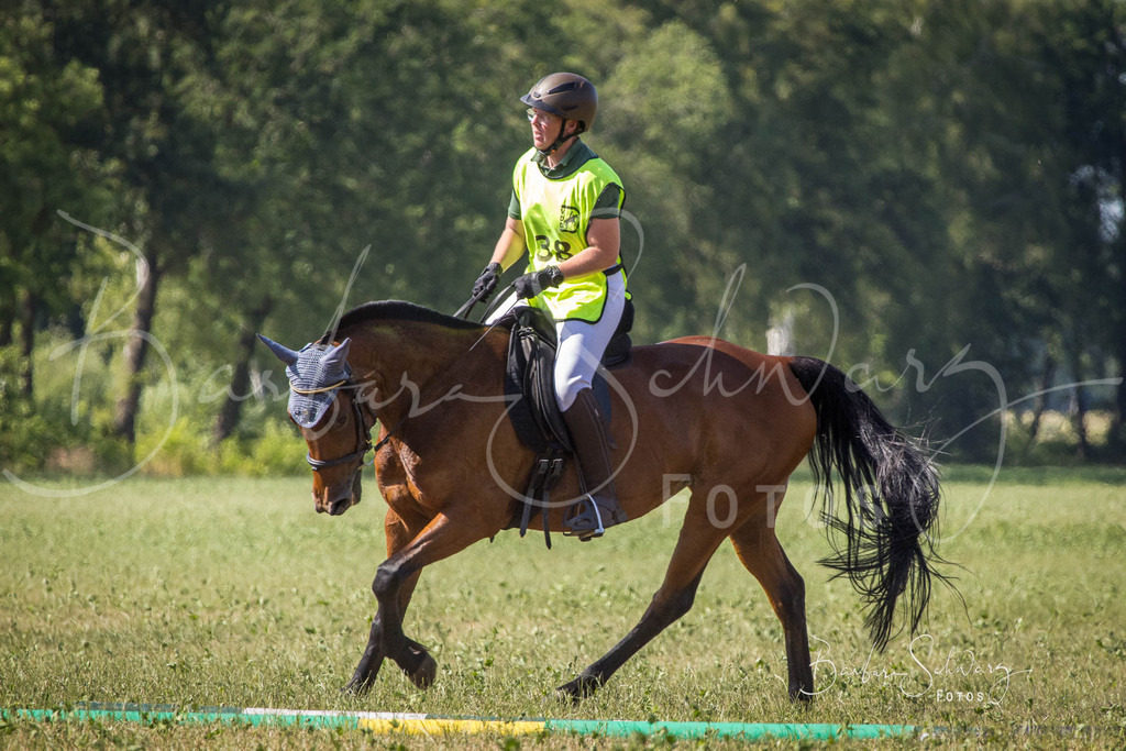 CJP_2026-06-26_216 | Stimmungsvolle Fotografie von Pferden, fotografische Begleitung von Veranstaltungen, Golfturnieren und Distanzritten - Realisiert mit Pictrs.com