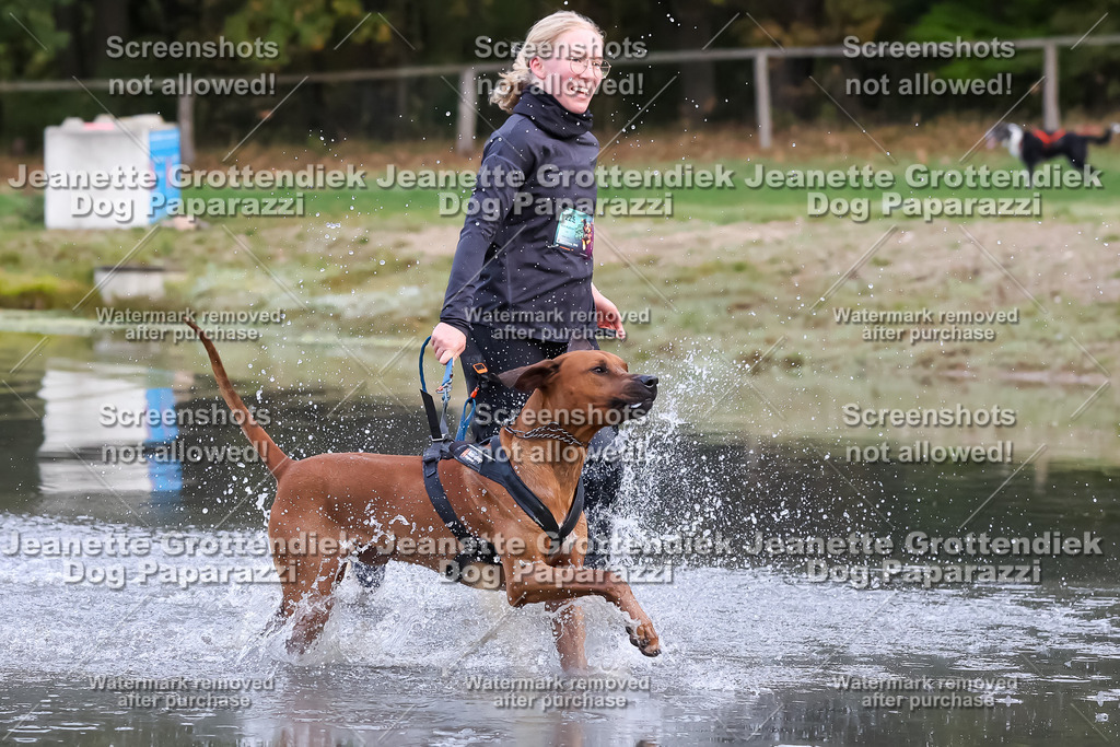 Dog Paparazzi - Strongdog 10-25-6355 | Dog Paparazzi Jeanette Grottendiek Fotografie & Videografie - Realisiert mit Pictrs.com