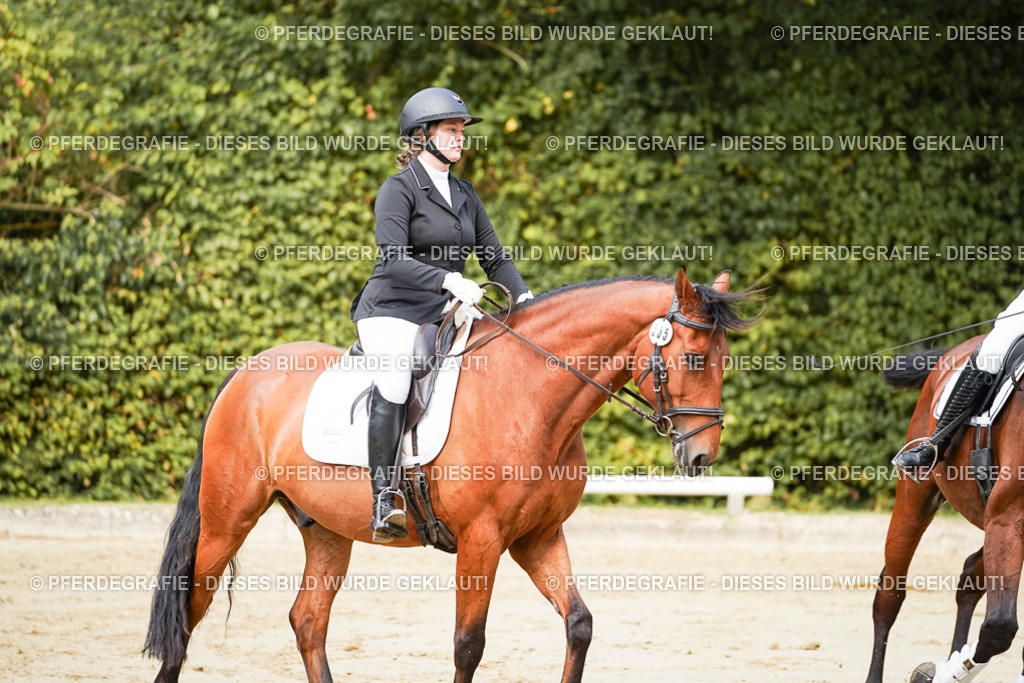 DSC01433 | Pferdegrafie