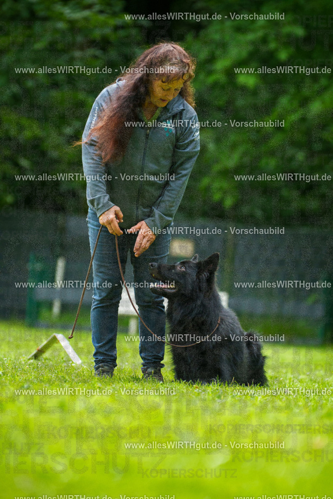 @allesWIRTHgut_Tierfotografie - www.allesWIRTHgut.de - 7R501690 | Professionelle Tierfotografie in Mönchengladbach von Daniel Wirth (allesWIRTHgut). Liebevolle & natürliche Bilder von Hunden & Katzen für unvergessliche Erinnerungen.