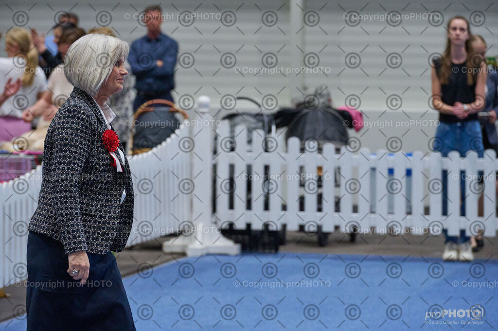 202406_ÖKV-IHA-Tulln24_DSC_5164 | proPHOTO - Realisiert mit Pictrs.com