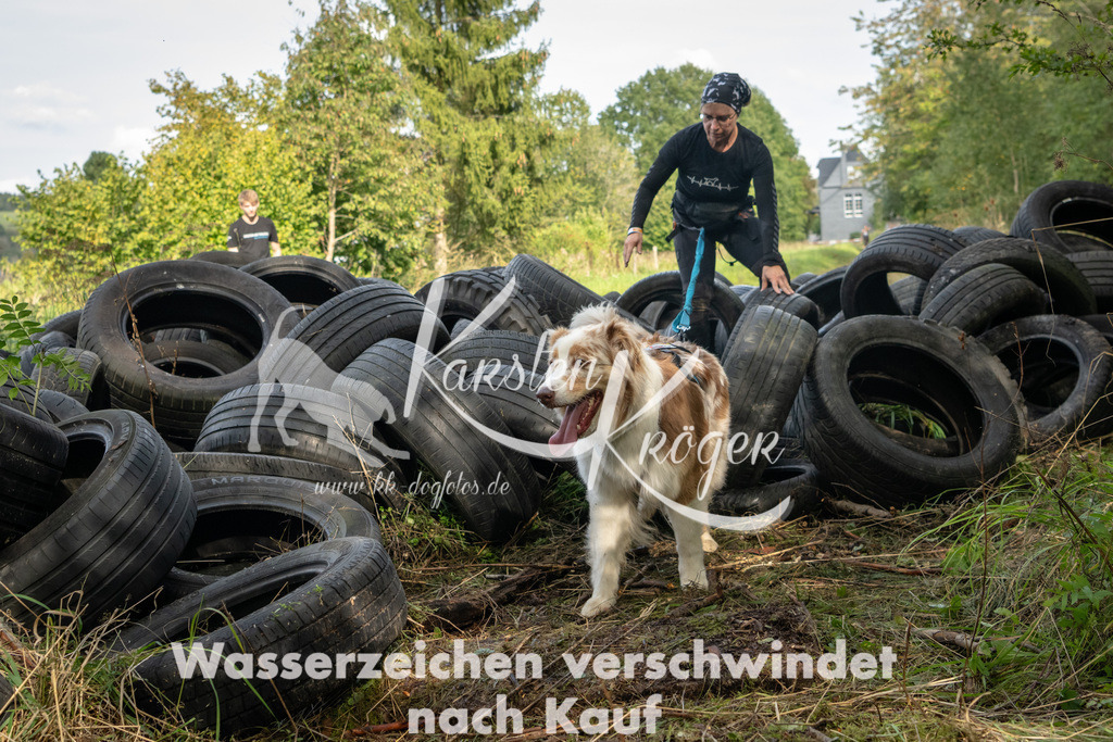 1511_ZZ91381 | kk-dogfotos