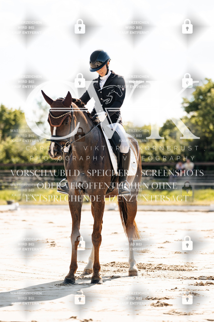 CK909108 | Turnierfotografie Pferdefotografie Trier Rheinland-Pfalz Pferdesport Reitsport Tierfotografie Sportfotografie Pferdevideo Pferdevideografie Equestrianvideography equestrianphotography  - Realisiert mit Pictrs.com