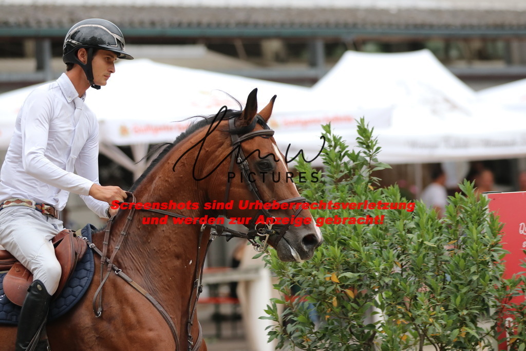 IMG_2863 | lmwpictures - Realisiert mit Pictrs.com