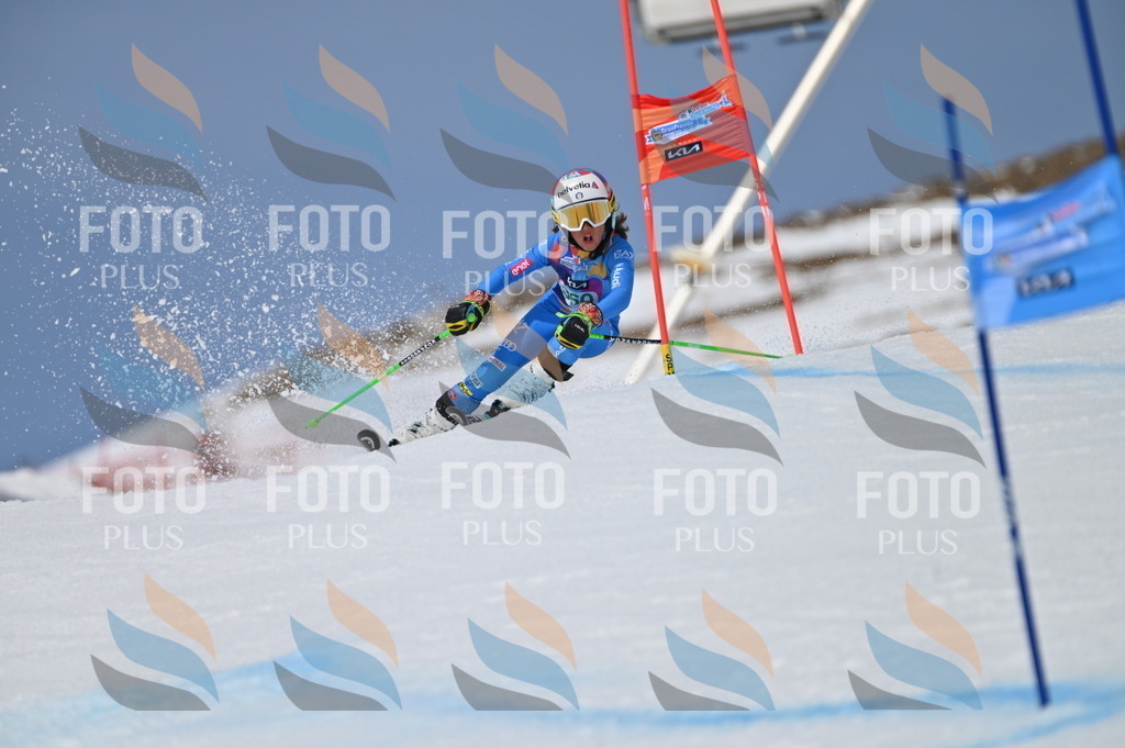 BGV_7109 | holidayphoto