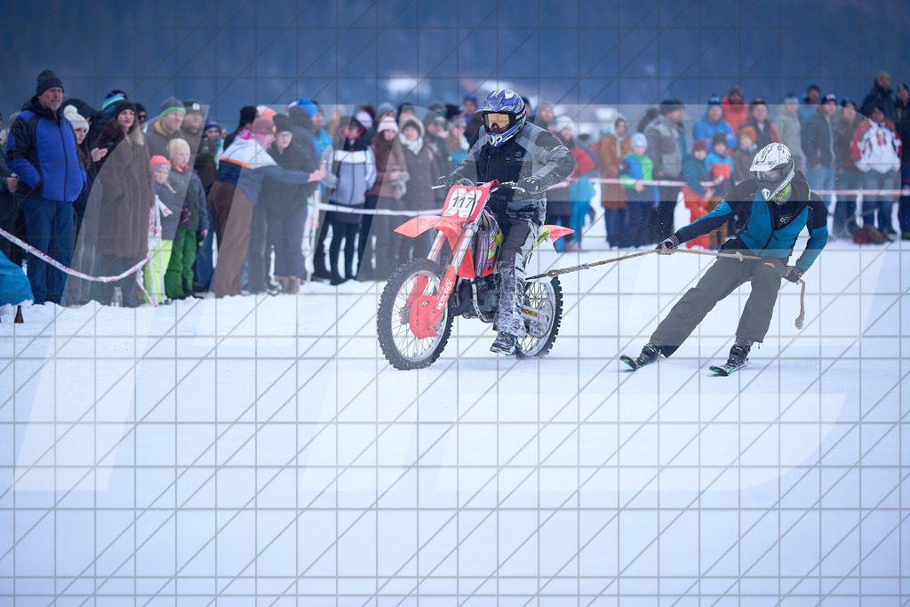 11. Holzknecht Skijöring | Skijöring am 24.01.2026: 11. Holzknecht Skijöring in Gosau am Dachstein, Oberösterreich, ÖsterreichFoto: © 2026 Martin Bihounek | mb-creative.eu