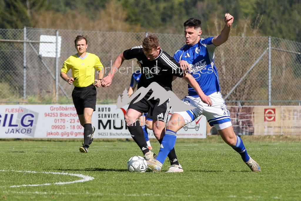 993T8417 | Medien- Sport- Entertainmentfotos