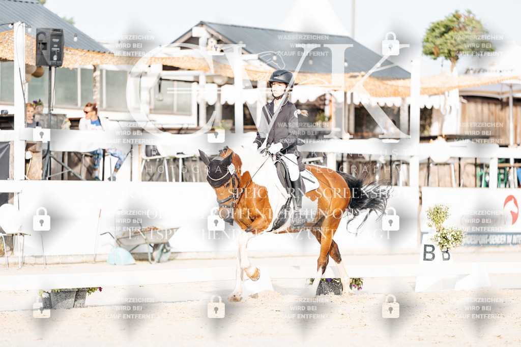 CK903978 | Turnierfotografie Pferdefotografie Trier Rheinland-Pfalz Pferdesport Reitsport Tierfotografie Sportfotografie Pferdevideo Pferdevideografie Equestrianvideography equestrianphotography  - Realisiert mit Pictrs.com