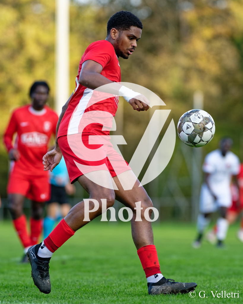 DZ8_9372 | Velletri Photo