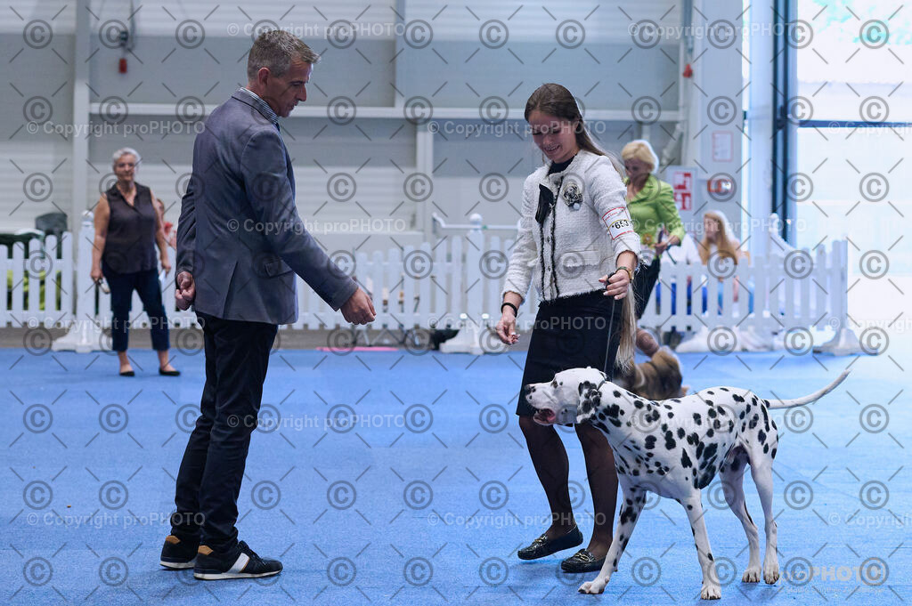 202406_ÖKV-IHA-Tulln24_DSC_4384 | proPHOTO - Realisiert mit Pictrs.com